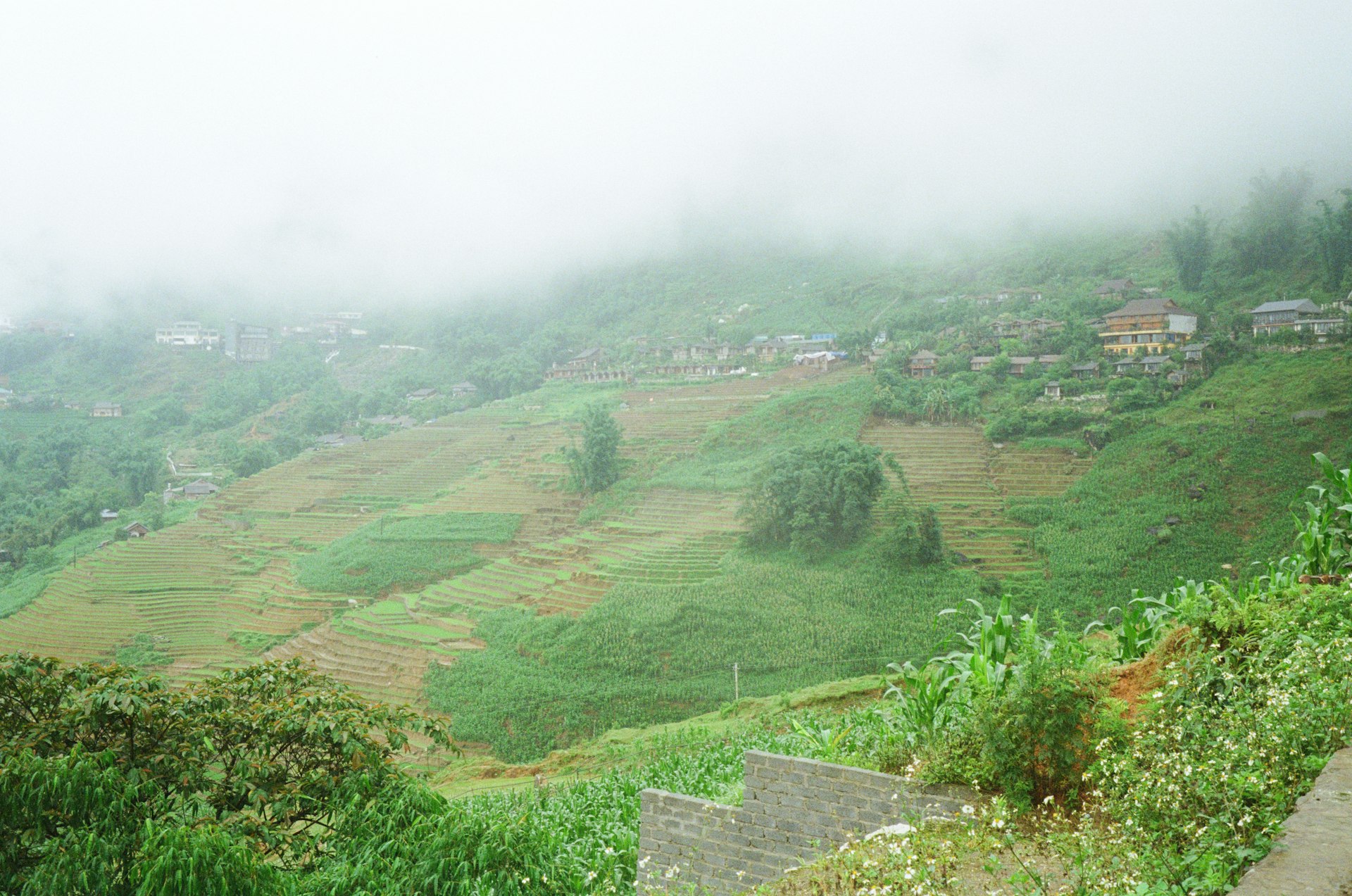 Mist hovers over green hills and small buildings.