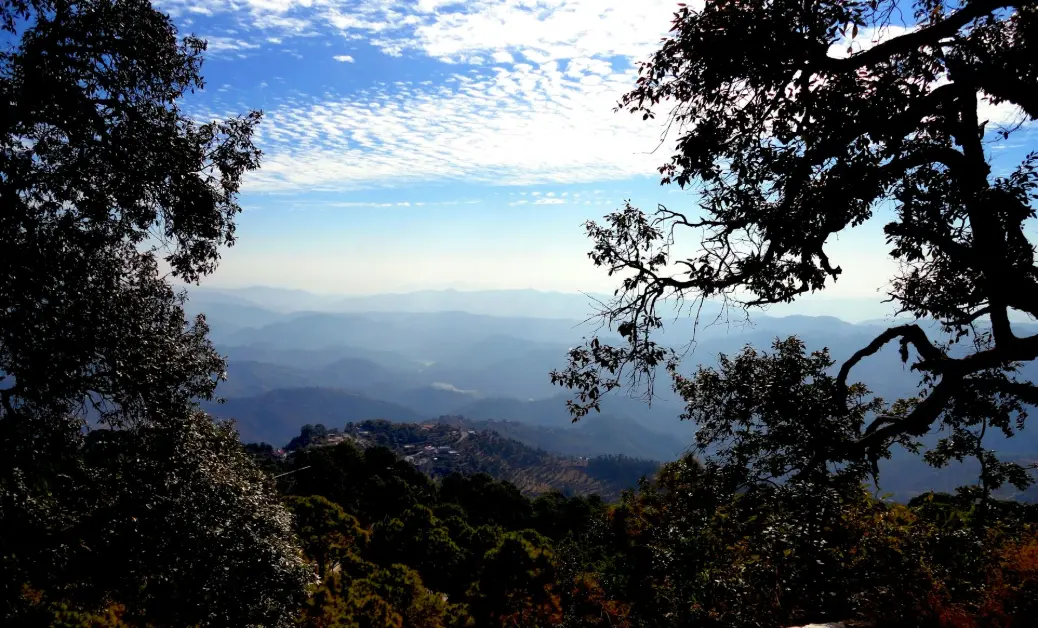 green trees on mountain under blue sky during daytime