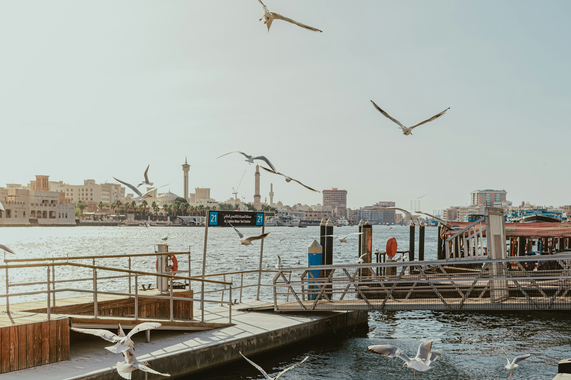 A flock of seagulls flying over a body of water