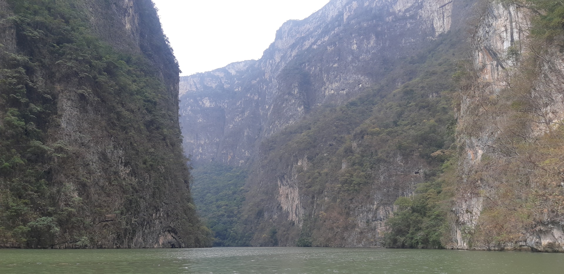 a body of water with a rocky cliff and trees on the side