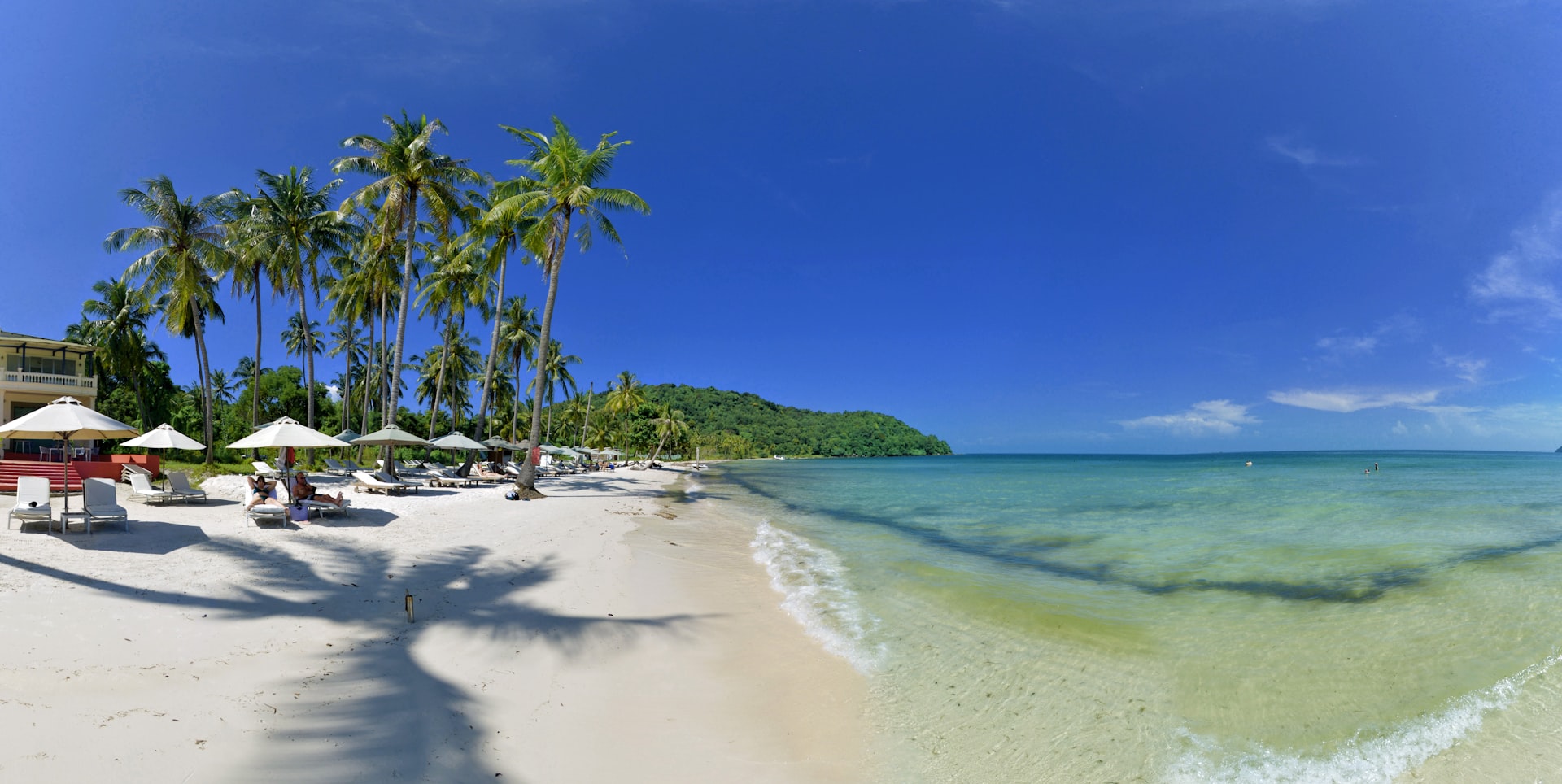 green palm trees near beach umbrellas during daytime