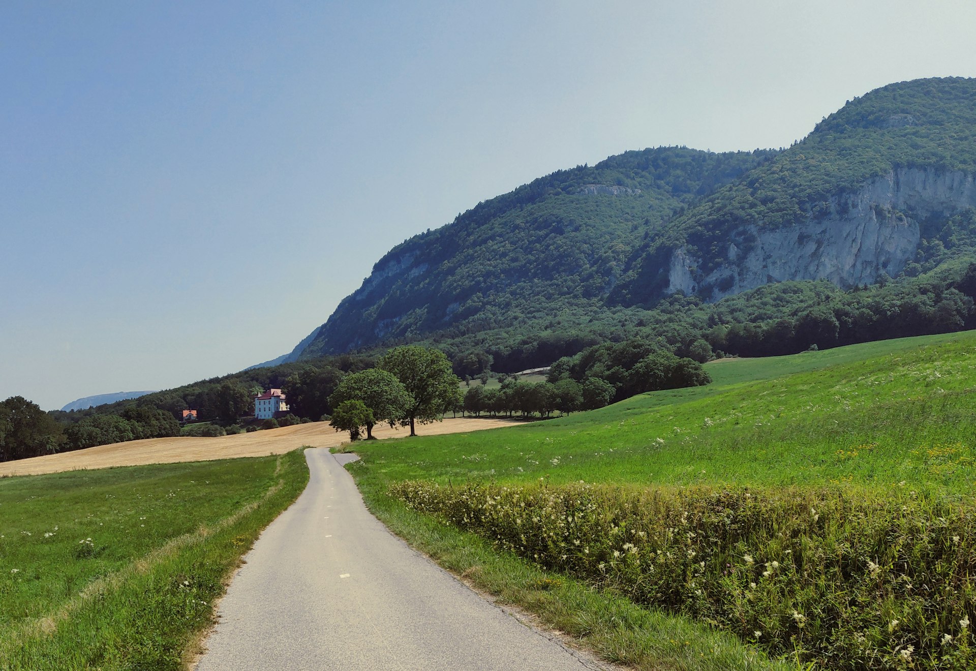 green grass field near mountain during daytime