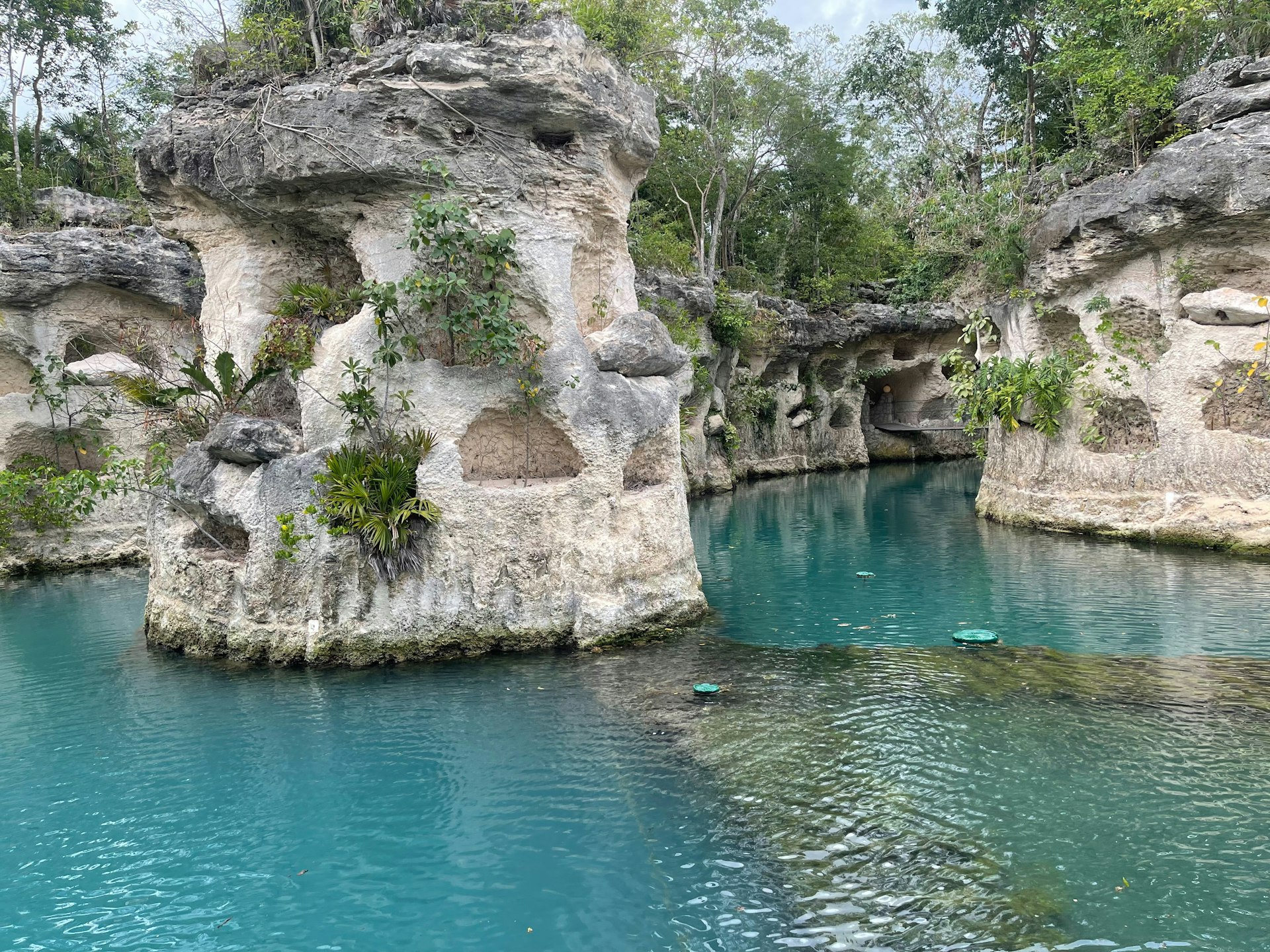 a body of water surrounded by rocks and trees