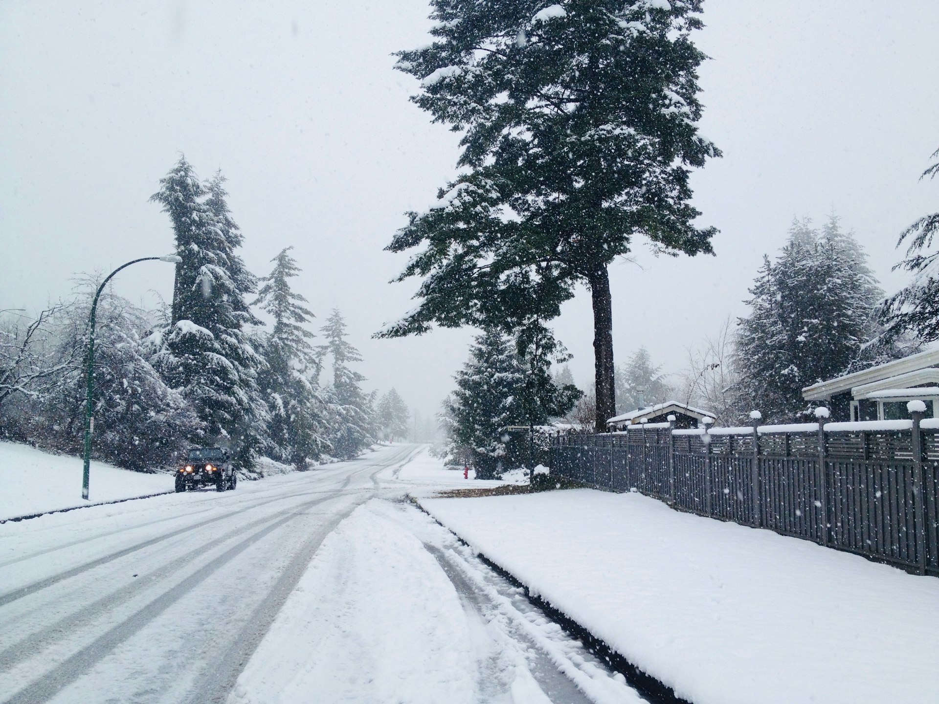 a snowy street with trees and a fence