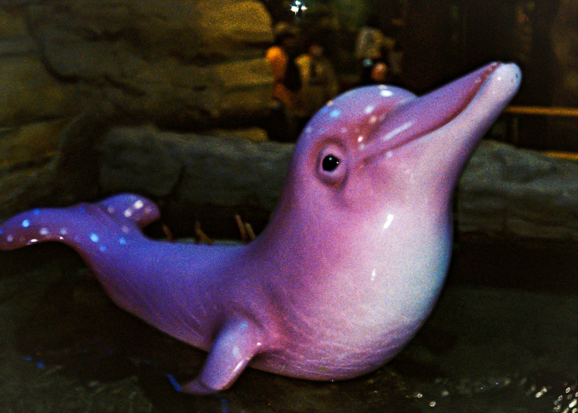 purple and white shark figurine