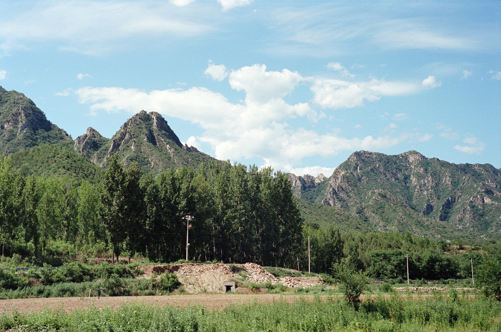 A field with mountains in the background