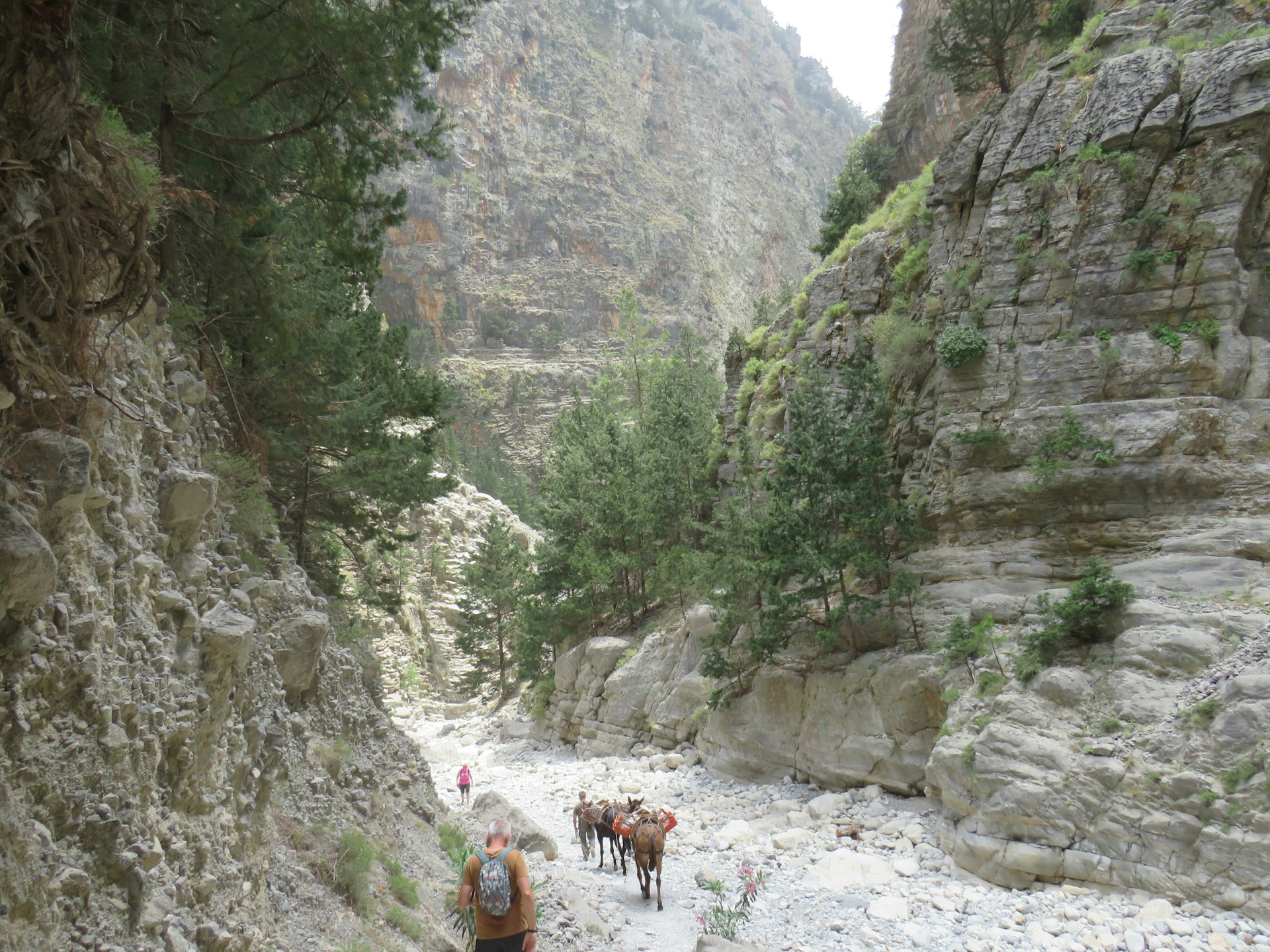 a group of people riding horses through a canyon