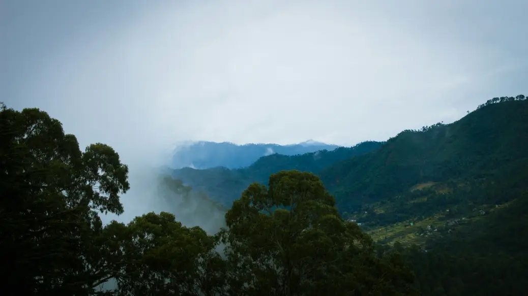a view of a valley with trees and mountains in the background