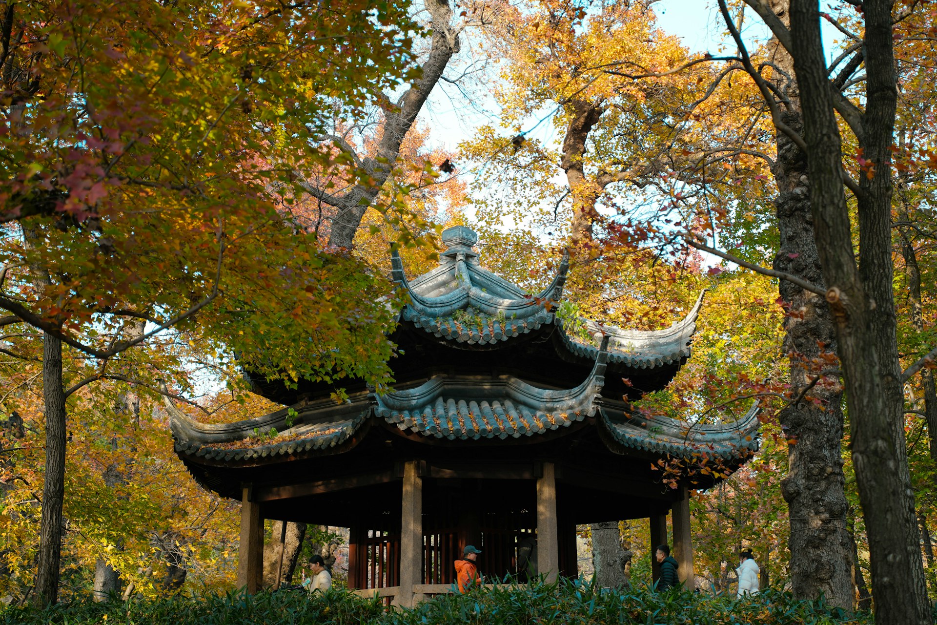 A pagoda in a park surrounded by trees