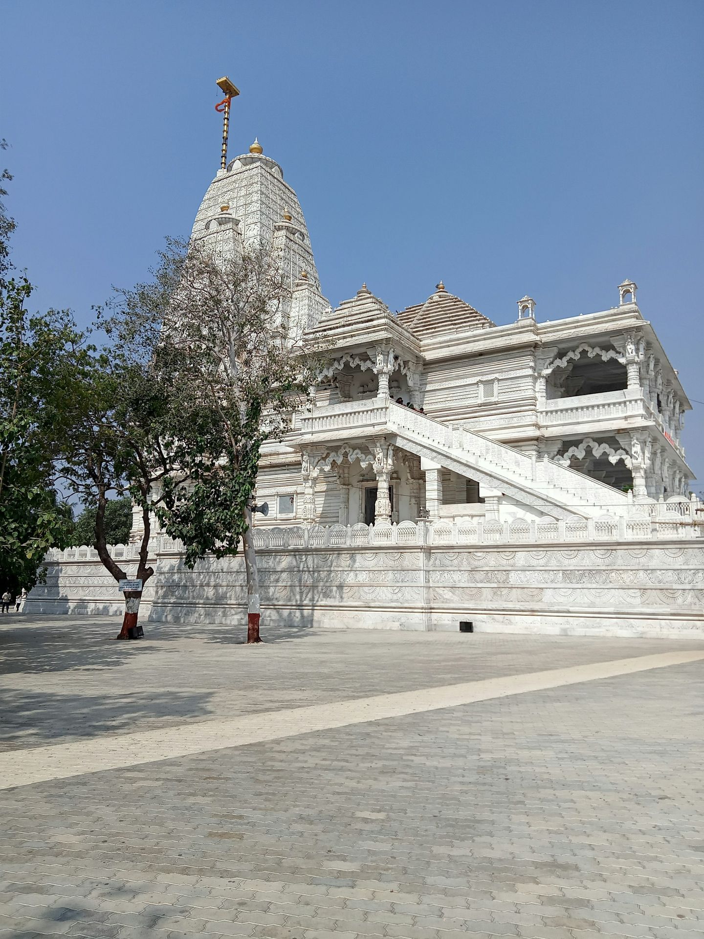 a building with a dome and trees