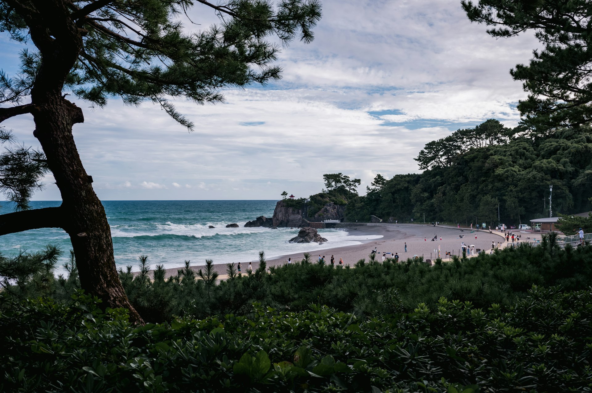 A view of a beach from a hill