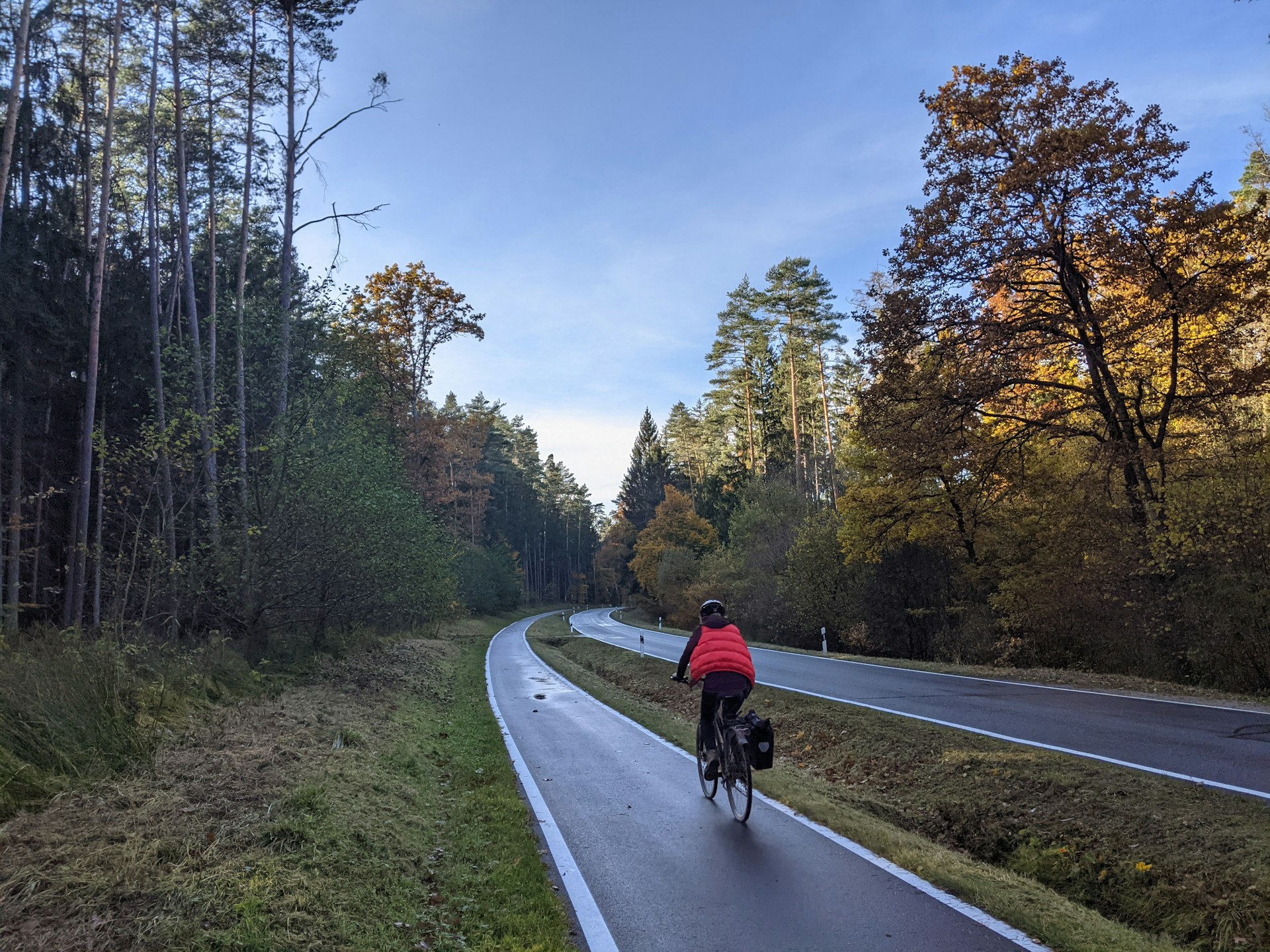 a man riding a bike down a road next to a forest